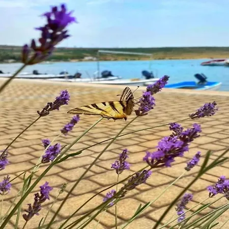 In Jasenice Near Modric Cave *